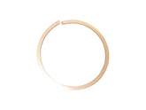 8036855 Ring Backup | JLG